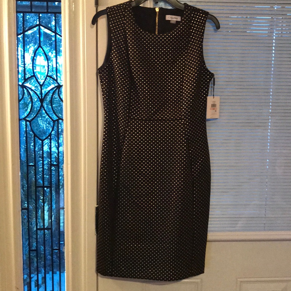 Dress : Calvin Klein 10P
